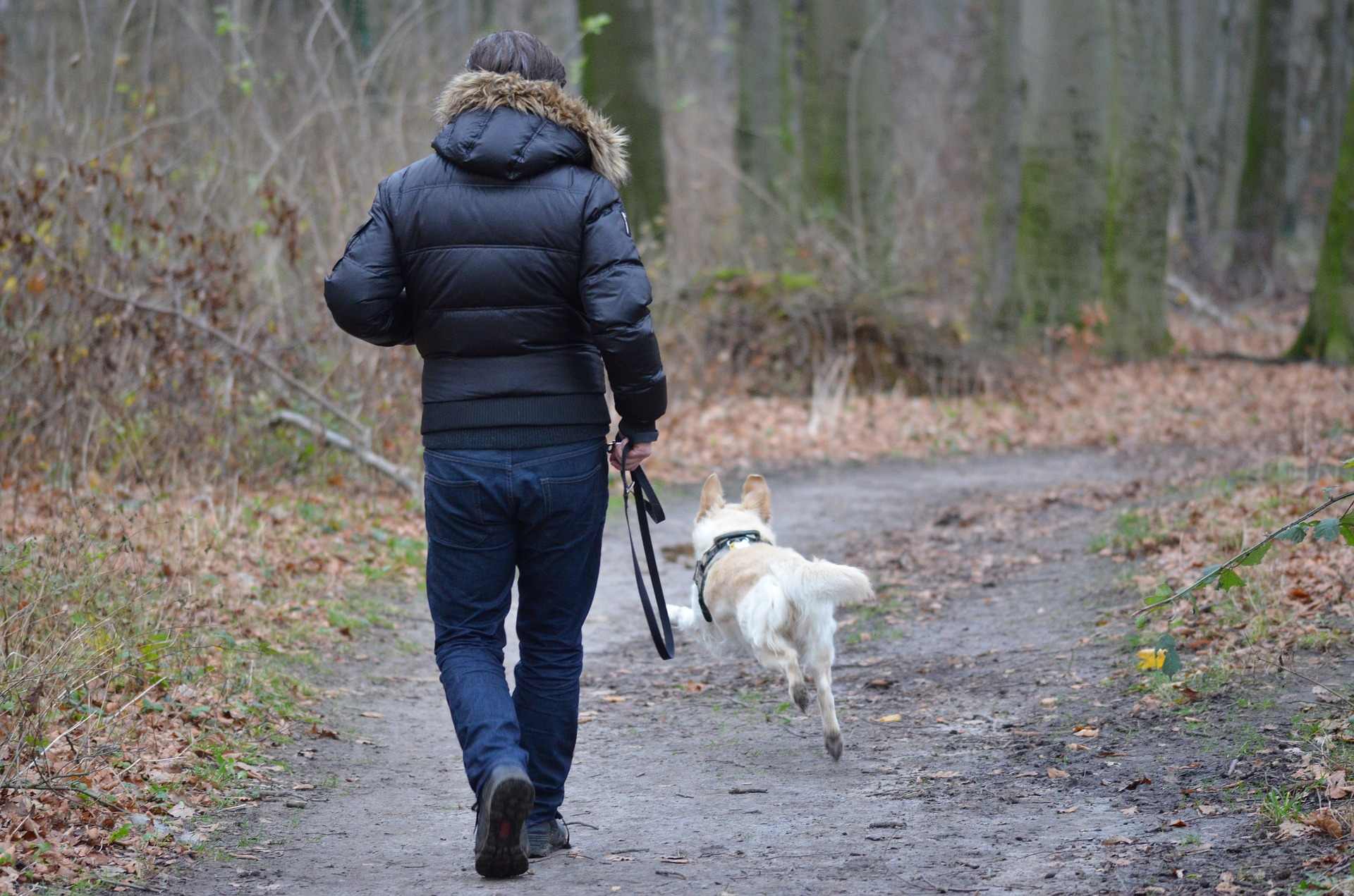 Zahlt sich eine Hundeschule wirklich aus?