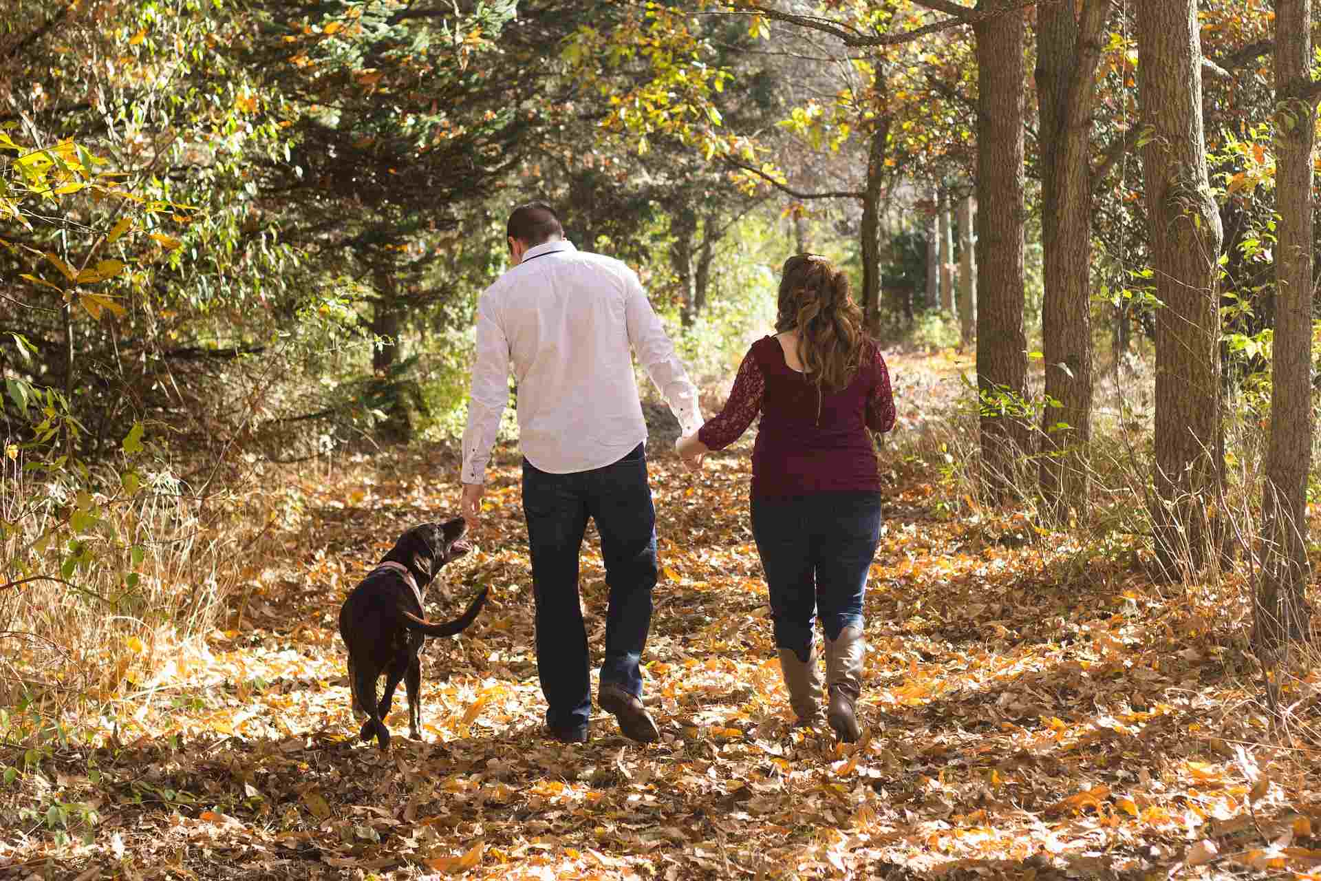 Eignen sich Briard Hunde für Familien?